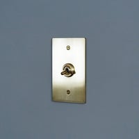 AXCIS 真鍮プレートスイッチ 1 / BRASS SWITCH PLATE / HS2335
