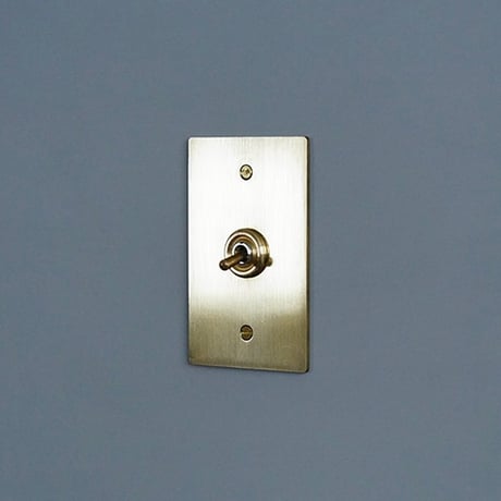 AXCIS 真鍮プレートスイッチ 1 / BRASS SWITCH PLATE / HS2335