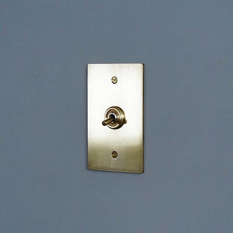 AXCIS 真鍮プレートスイッチ 1 / BRASS SWITCH PLATE / HS233