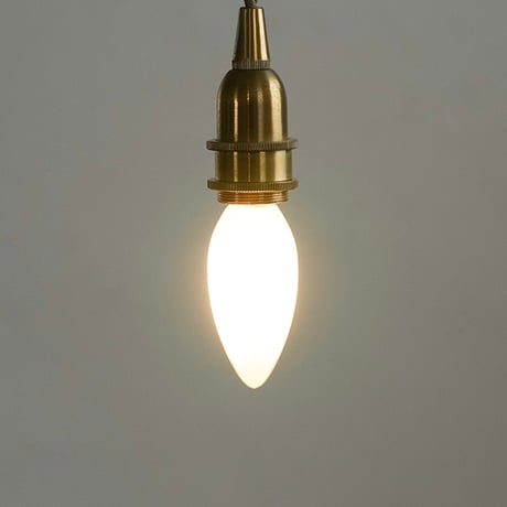 BRASS × GRASS PENDANT LIGHT E17 / ペンダントライト真鍮灯具 60cm / E17用 BR 60cm / シーリングカバー付き / LED電球選択
