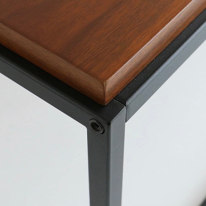 センターテーブル・ローテーブル Walnut Center table WALNUT