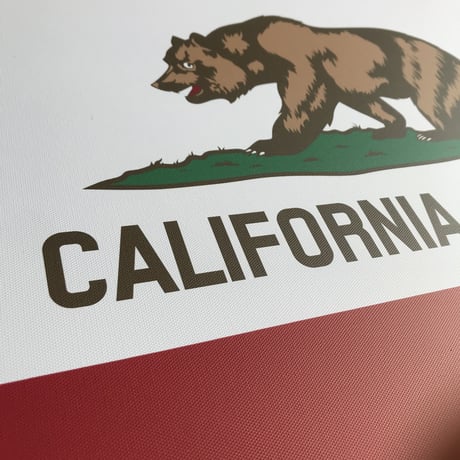 CANVAS ART FLAME / CALIFORNIA FLAG  キャンバスアート カリフォルニア フラッグ  サイズ ▶︎500x400x25mm