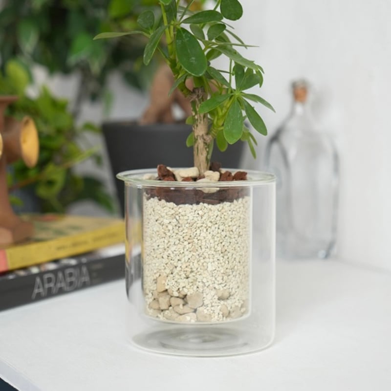 引き取り限定】植木鉢・プランター・花瓶・ガラスベース 大量まとめ売り 約50点 GLASS PLANTER by pino / Clear , Gray , Amber /