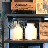 IRON MILK POT / ドライ&フラワーベース / WH