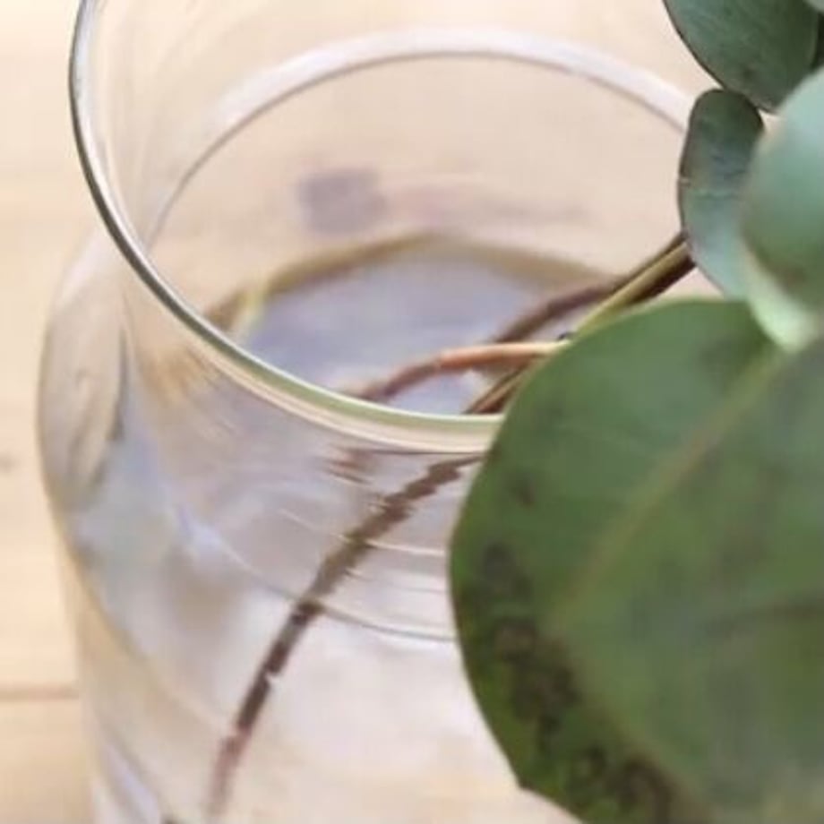 62a55f87288b80713b7db8b4