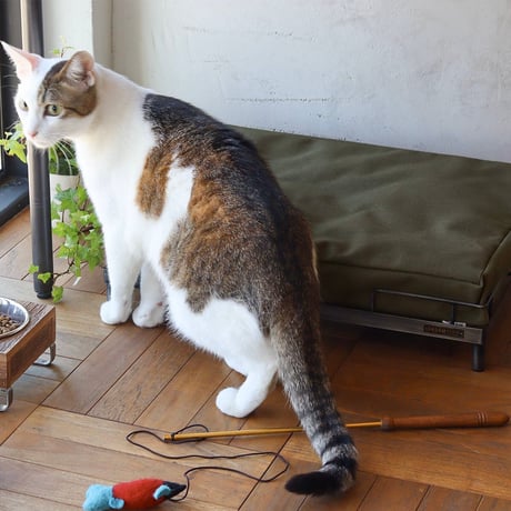 IRON BED / GROOM / グルームベッド / クッション付き / 小型犬 猫用 / POSTGENERAL / 972310006
