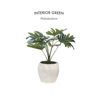 PHOTO CATALYTIC GREEN / お世話のいらない空気を綺麗にしてくれる観葉植物  / フィロデンドロン / Philodendron インテリアグリーン / 光触媒