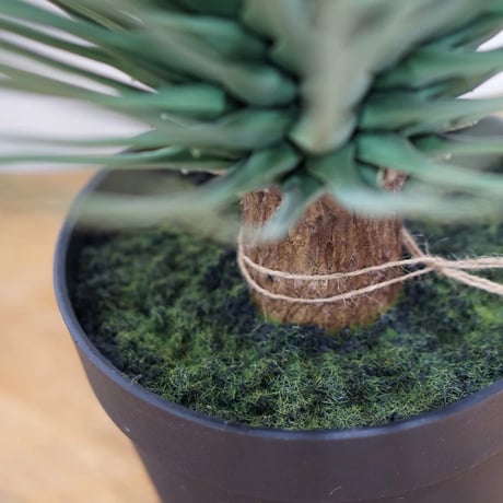 Yucca INTERIOR artificial GREEN / リアルな質感と存在感のある大きさのフェイクグリーン / ユッカ