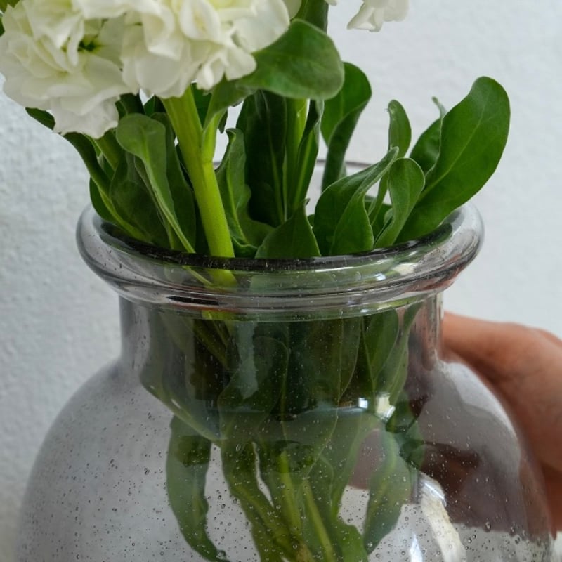 BUBBLE GRASS VASE / ガラスにランダムな気泡が入って