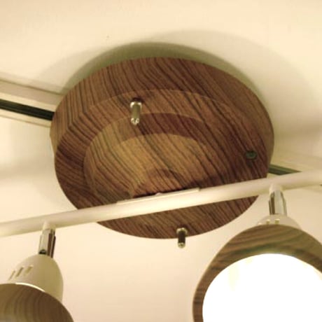 Harmony-remote ceiling lamp / 4灯シーリングランプ / E26 60W 角度調整可能 リモコン付き 3段階点灯切替  / LED対応  / スポットライト  ※電球選択