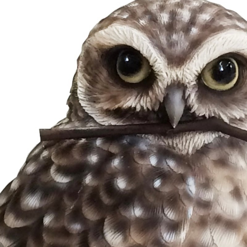 パヴェルスクドラーク作『ふくろう』 BIRDIE BILL BURROWING OWL / リアルな造形のフクロウ | LISTA