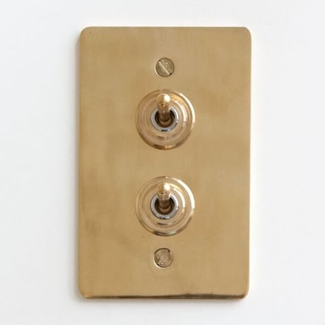 AXCIS 真鍮プレートスイッチ 2 / BRASS SWITCH PLATE / HS2336