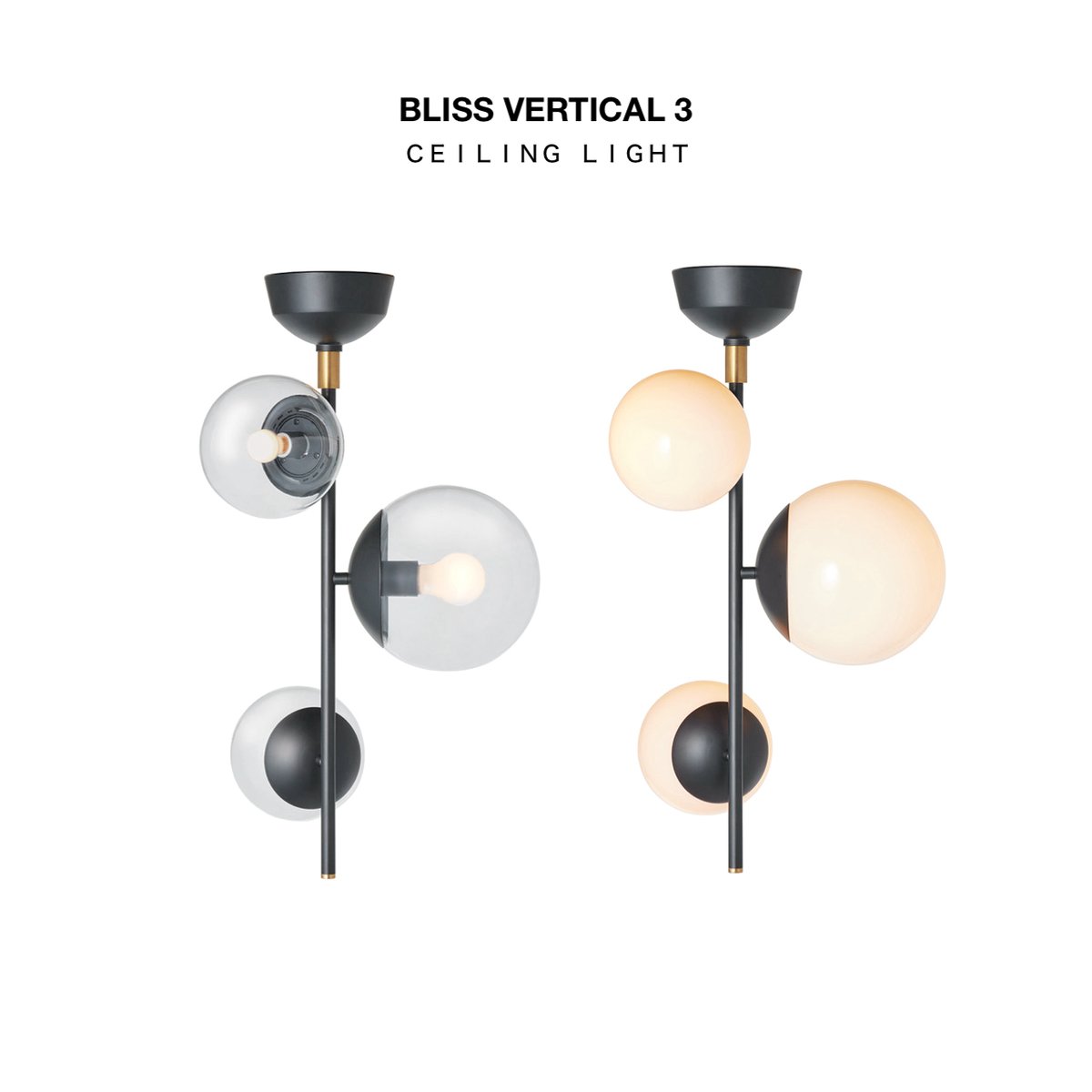 Bliss vertical 3-ceiling light / ガラスグローブを使用したシー