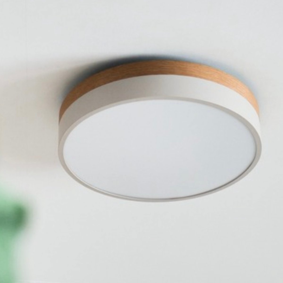 Olika LED CEILING LIGHT Ver.2 / BRID / シーリングライト