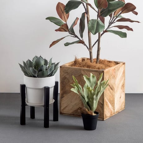 Yucca INTERIOR artificial GREEN / リアルな質感と存在感のある大きさのフェイクグリーン / ユッカ