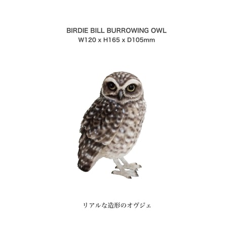 BIRDIE BILL BURROWING OWL / リアルな造形のフクロウ