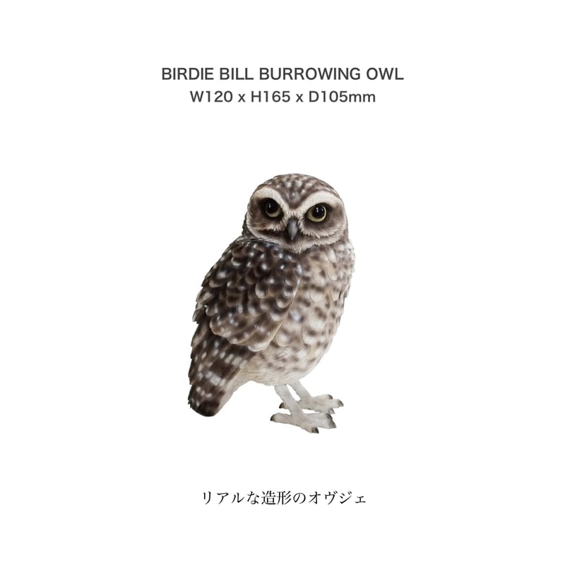 BIRDIE BILL BURROWING OWL / リアルな造形のフクロウ | LISTA