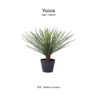 Yucca INTERIOR artificial GREEN / リアルな質感と存在感のある大きさのフェイクグリーン / ユッカ