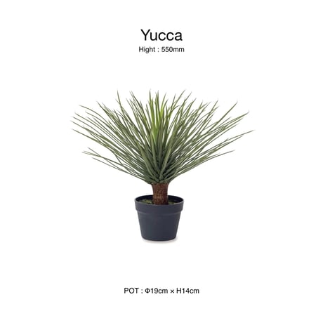 Yucca INTERIOR artificial GREEN / リアルな質感と存在感のある大きさのフェイクグリーン / ユッカ