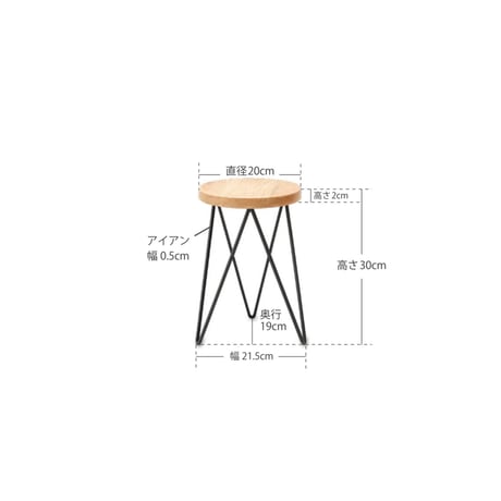 ROUND TABLE 'N' STAND / 置くだけでインテリアのアクセントになるサークルスタンド / アイアン , マンゴーウッド