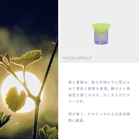 GRASS STORAGE 'N' VASE "NEON / 日常に差し込む蛍光カラーの組み合わせによるインパクトのあるデザインで空間の主役となるガラスベース