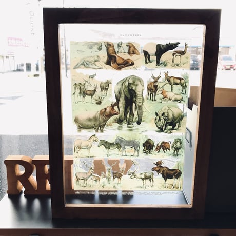 NOSTALGIC ART FRAME ［ Animals  ］W35 x H45 x D1.7cm