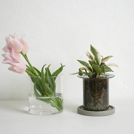 GLASS PLANTER by pino / Clear , Gray , Amber / ガラスベース / フラワーベース / ガラスプランター