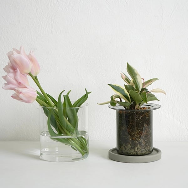GLASS PLANTER by pino / Clear , Gray , Amber /