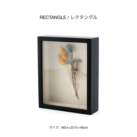 COLLECTION BOX / 大切な物を見せておしゃれにディスプレイできるコレクションボックス / アクセサリー収納