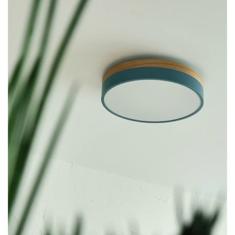 Olika LED CEILING LIGHT Ver.2 / BRID / シーリングライト/ 天井照明 / リビング ダイニング照明 / 北欧ナチュラル
