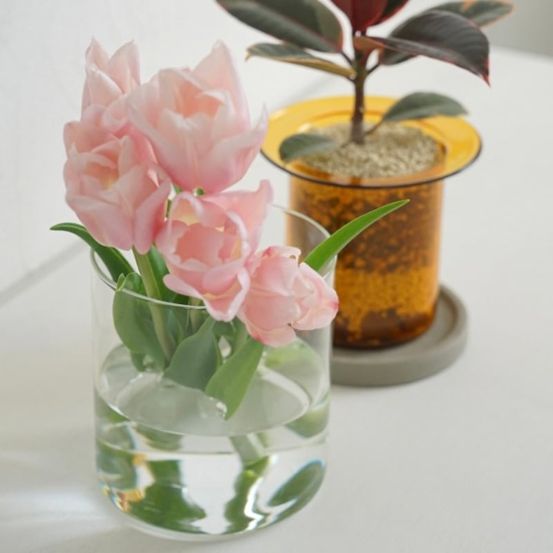GLASS PLANTER by pino / Clear , Gray , Amber /