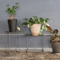 INDUSTRIAL PLANTER STAND MESH by POSTGENERAL / プランタースタンド / HIGH , LOW / 観葉植物スタンド