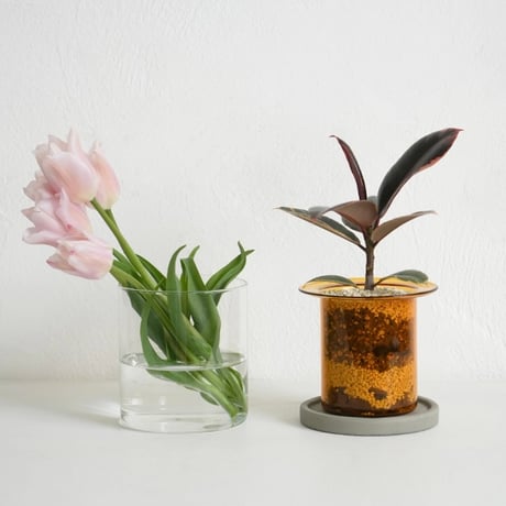 GLASS PLANTER by pino / Clear , Gray , Amber / ガラスベース / フラワーベース / ガラスプランター