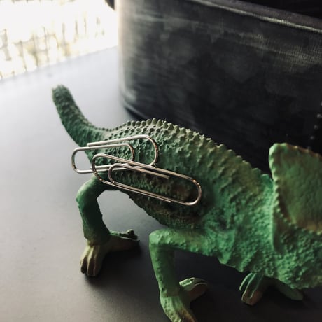 REPTILES MAG VEILED CHAMELEON BABY ▷ リアルな生きもの造形マグネット ▷エボシカメレオン ベイビー