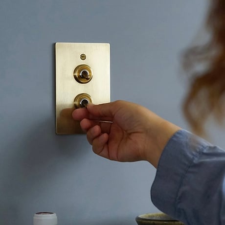 AXCIS 真鍮プレートスイッチ 2 / BRASS SWITCH PLATE / HS2336