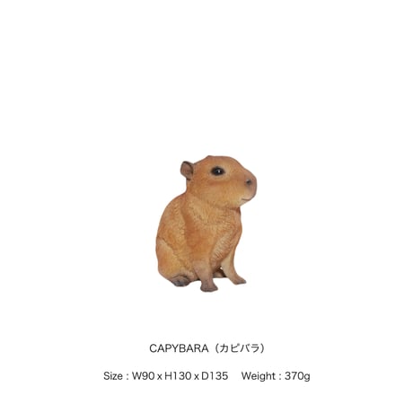 Animal ＰＥＴ ＢＡＮＫ / リアルでキュートなアニマル貯金箱 /（ウサギ）（トラフズク）（カワウソ）（ハシブトカラス）（カワウソ）（カピバラ）