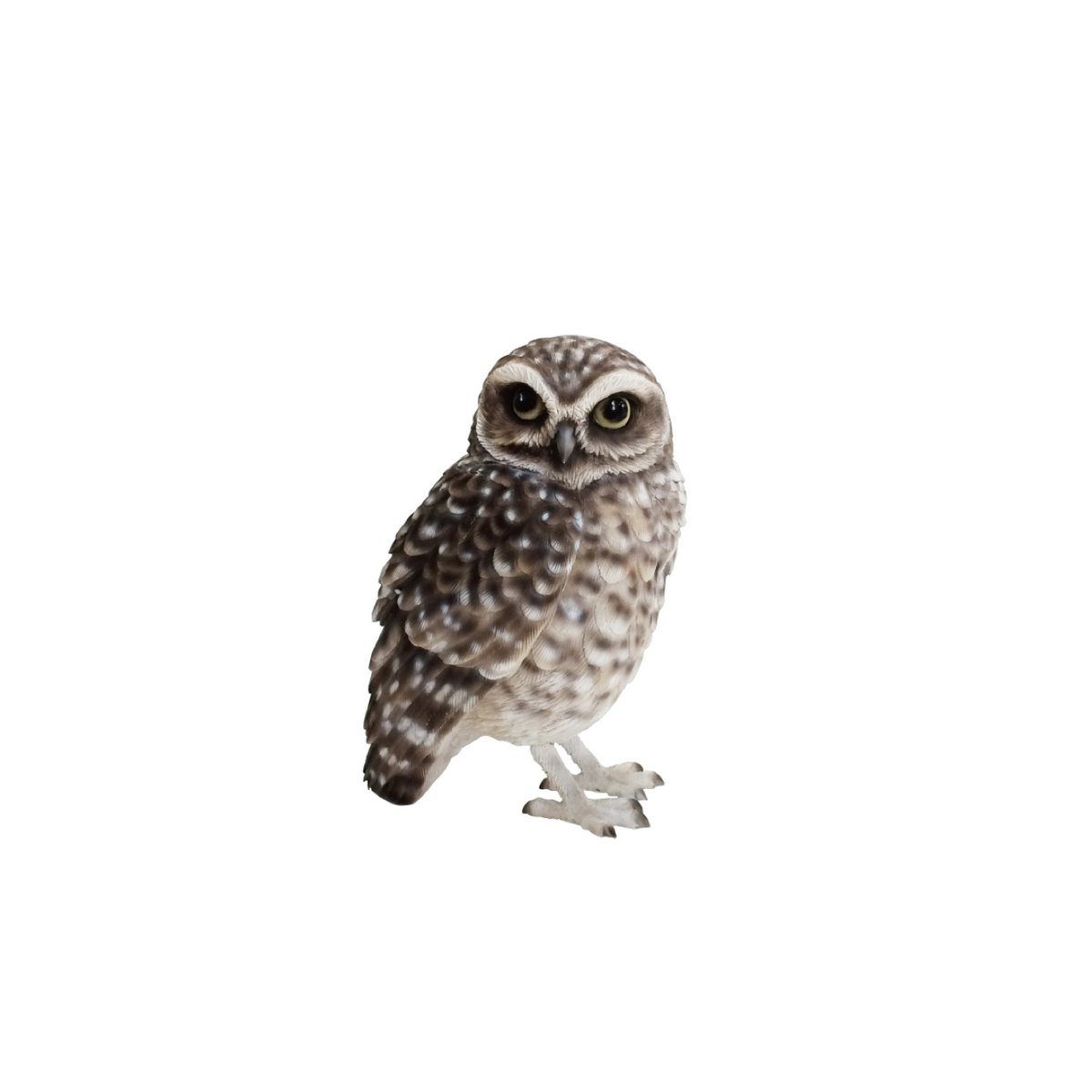 BIRDIE BILL BURROWING OWL / リアルな造形のフクロウ | LISTA