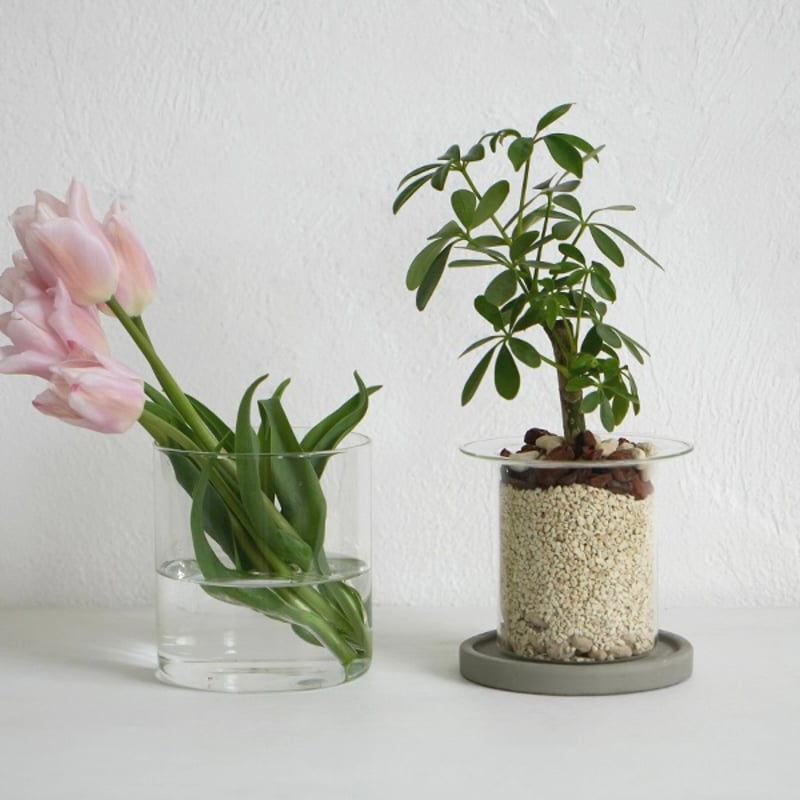 引き取り限定】植木鉢・プランター・花瓶・ガラスベース 大量まとめ売り 約50点 GLASS PLANTER by pino / Clear , Gray , Amber /