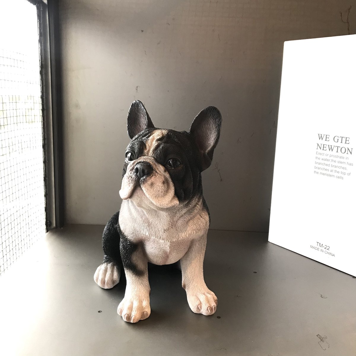 ドッグ オーナメント / フレンチブル / レジン製 / W170×H175×D110mm |