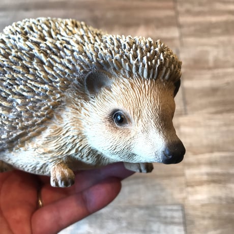 リアル アニマルペットバンク［ magnet / HEDGEHOG ］ハリネズミ