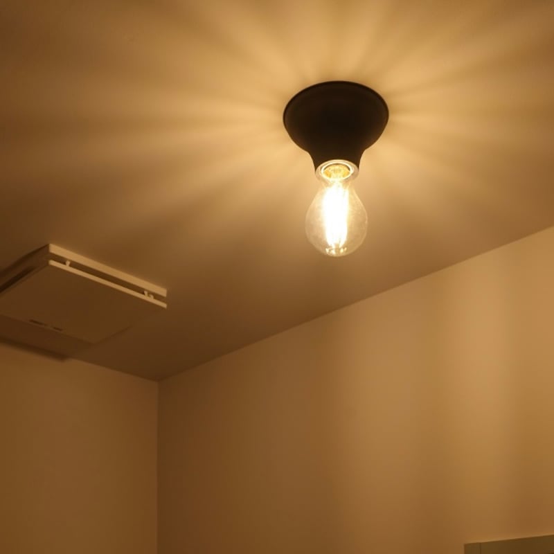 Flare ceiling light / white , gray / シンプルでモダンな工