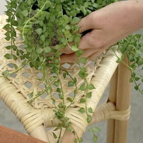 RATTAN STOOL by tuttu / ラタンスツール 三角 / 椅子 / リビング ダイニング チェア / 素材 籐 ラタン / サイズ/ 約w360×d320×h450mm