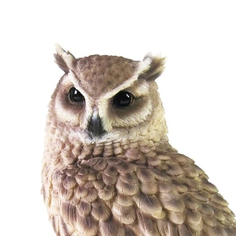 Animal ＰＥＴ ＢＡＮＫ / リアルでキュートなアニマル貯金箱 /（ウサギ）（トラフズク）（カワウソ）（ハシブトカラス）（カワウソ）（カピバラ）