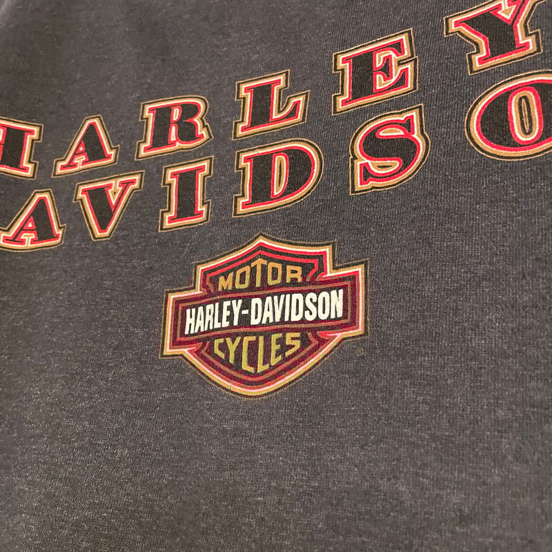 90s USA製 Harley-Davidson ヴィンテージ 古着 90s USA製 HARLEY DAVIDSON × ZZ Top 「Two American