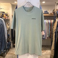patagonia　レスポンシビリティー Tシャツ　ショートスリーブ　バックプリント　バッファロー　パタゴニア　(S2538)