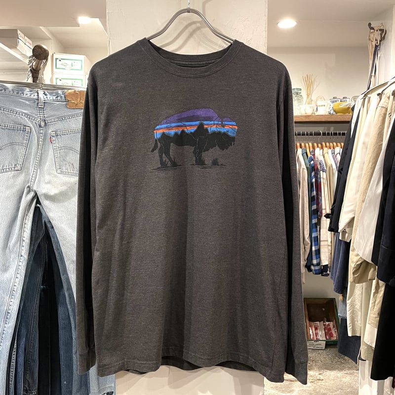patagonia Fitz Roy Bison Long Sleeve Tee フィッツロイ patagonia Fitz Roy Bison Long Sleeve Tee フィッツロイ