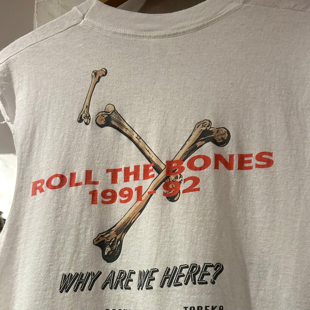 90s FRUIT OF THE LOOM RUSH ROLL THE BONES バンド T