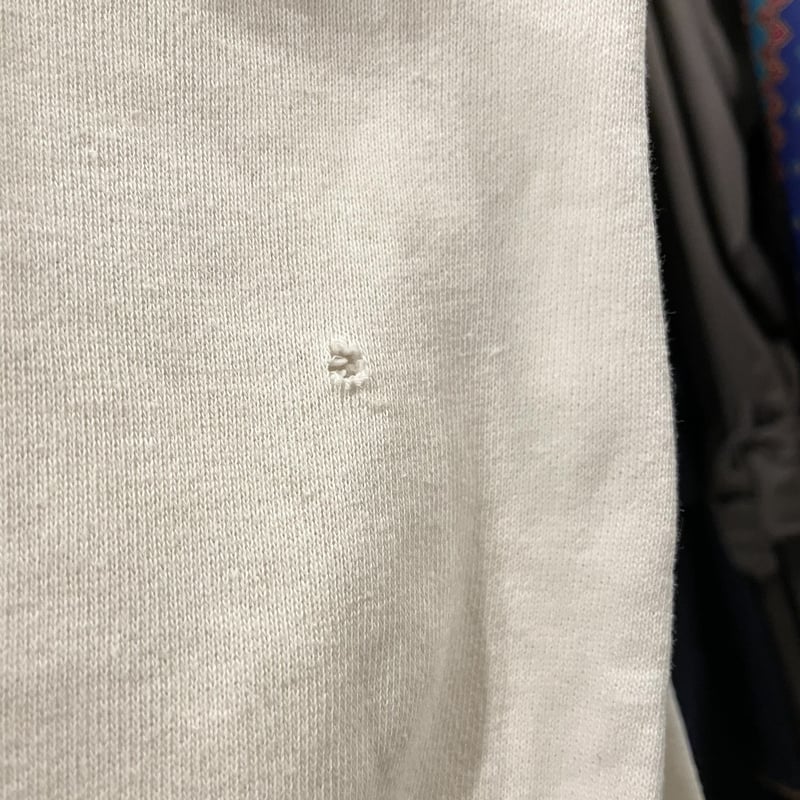 Champion ヴィンテージスウェット 3段染み込みプリント 小文字ランタグ