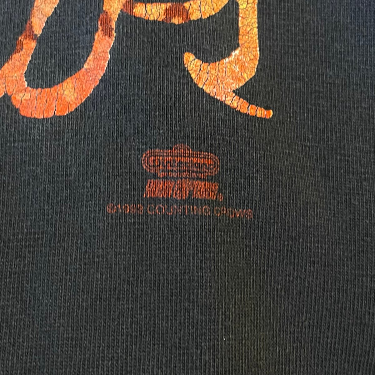 90s Hanes S/S バンドTシャツ Counting Crows USA製 Size