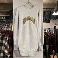 90s Champion リバースウィーブ REVERSE WEAVE ダブルフェイス